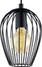 EGLO Newtown - Hanglamp - E27 - Ø 16 cm - Zwart