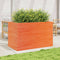 vidaXL - Plantenbak - 110x60x68,5 - cm - massief - grenenhout - wasbruin
