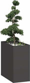 vidaXL - Plantenbak - 40x80x80 - cm - staal - zwart