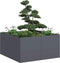 vidaXL - Plantenbak - 80x80x40 - cm - koudgewalst - staal - antracietkleurig