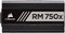 Corsair RM750x (2018) - Voeding - 750W 80 Plus Gold - Zwart