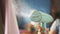 Philips 3000 series STH3000/20 - Kledingstomer - Compact en opvouwbaar - Donkerblauw