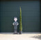 Italiaanse cipresboom Cupressus sempr. Pyramidalis h 225 cm