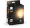 Philips Hue White filament G93 globe - E27 slimme lamp - dimbaar warmwit licht