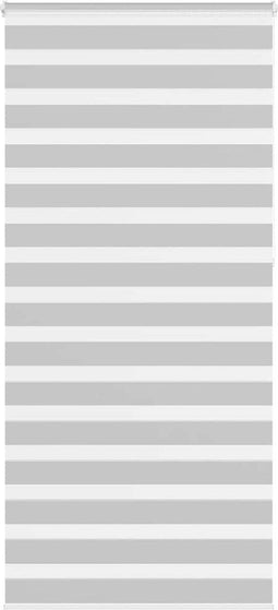 vidaXL - Zebra - rolgordijn - 110x230 - cm - stofbreedte - 105,9 - cm - lichtgrijs