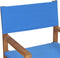 vidaXL - Regisseursstoel - massief - teakhout - blauw