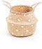 Housevitamin Zeegras mand- Stip -Ø 35cm
