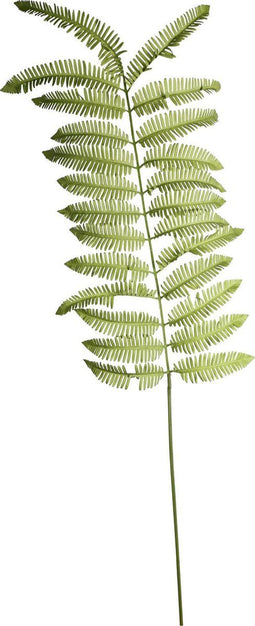 PTMD Fern Plant Varen Kunstblad - 85 x 25 x 140 cm - Groen