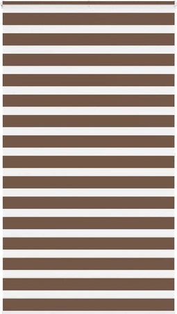 vidaXL - Plisségordijn - 50x100 - cm - stofbreedte - 59,4 - cm - polyester
