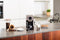 Solac CE4552 - Espressomachine - 20bar pompdruk 1,7L watertank - Zwart Roestvrijstaal