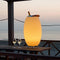 Kooduu Wijnkoeler Synergy 50S - LED Verlichting - Bluetooth Speaker - Batterij en oplaadkabel - Aluminium