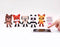 Dancing Animals - Bluetooth Speaker - 3W Geluid - Vos/Echo