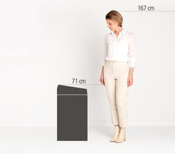 Brabantia Touch Bin - Prullenbak - 60 liter - Brilliant Steel - Soft-Touch sluiting