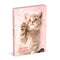 Schoolagenda 2024-2025 My Favourite Friends Katten 125 x 175 mm.