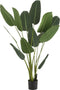 J-Line plant Strelitzia - kunststof - groen - medium