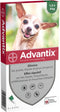 Advantix Zeer Kleine Hond Tot 4 kg 6 Pipetten