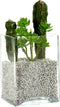 Decoratie steentjes/kiezeltjes lichtgrijs 500 gram - Aquarium bodembedekking