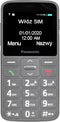 MOBIELE TELEFOON PANASONIC KX-TU160EXG GRIJS