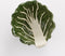 Mica Decorations Schaal Kool - L11,5 x B10,5 x H4 cm - Keramiek - Donkergroen