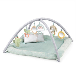 Ingenuity Baby activity gym pluche - Luxe speelmat met 6 afneembare speeltjes - Multicolor
