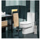 Toiletborstelhouder van Roestvrij Staal Premium 1x RVS Toiletborstel met Houder Set