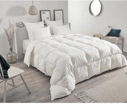 TOISON D'OR - Warm Daisy dekbed (300g/m²) - 240x260cm - Veren en dons - 2 personen - Wit