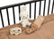 ToiToiKids Figo box met lade - Mat Zwart