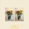 Emmy The Great - April (CD)