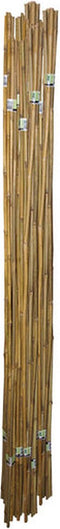 Tonkinstokken dia. 18/20 mm X 240 cm 100 Stuks