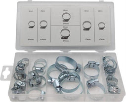 Toolland Assortiment slangklemmen, 26-delig, verschillende maten, nikkelkleurig