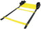 Toorx Fitness Loopladder - Speedladder - 4,5 meter - inclusief opbergtas