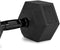 Toorx Professional AMEG Hexa Dumbbell - per stuk - 6 kg