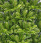 Top Trees Cleveland Artificial Christmas Tree - H185 cm - Green