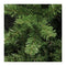 Top Trees Kansas Artificial Christmas Tree - H185 cm - Green