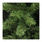Top Trees Kansas Artificial Christmas Tree - H215 cm - Green