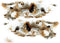 Totally Easter | kippenveren | Kippen veer | Pasen | Paasdecoratie | +/- 50 stuks | Bruin