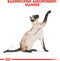 Royal Canin Siamese Adult - Kattenvoer - 2 kg