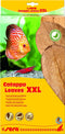 sera Catappa Leaves XXL 30 – 35 cm