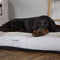 Scruffs Harvard - Orthopedisch Hondenkussen - Memory Foam - Pearl Grey - XL - 120 x 75 cm