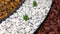 Gazonrand, wortelblokkeringssysteem, flexibel (zwart lang: 10 m / hoog: 6 cm) - bloembedomranding ro