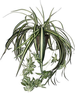 Mica Decorations Chlorophytum Kunsthangplant - 45 x 45cm - 4 Stuks