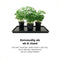 Kweekset met Groeilamp | Binnentuin met Kweeklamp | Kruidentuin | Indoor Garden