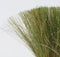 Plant in a Box - Stipa tenuifolia 'Pony Tails' - Set van 6 Stipa 'ponytail' grassen - Verdergras - Pot 9cm - Hoogte 20-30cm