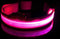 Lichtgevende Halsband LED - USB Oplaadbaar - Maat XL 42 - 56 cm - Roze