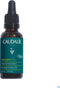 Gezichtsolie Caudalie Vinergetic C+ Nacht Ontgiftende (30 ml)