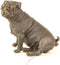 BRONZEN ZITTENDE MOPSHOND