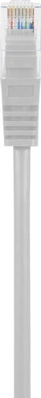 Renkforce RF-5043980 RJ45 Netwerkkabel, patchkabel CAT 5e U/UTP 3.00 m Grijs Snagless 1 stuk(s)