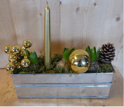 Kerststukje 'Penza' zink rechthoekig bakje 30 cm hyacinten met kaar...