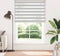 vidaXL - Zebra - rolgordijn - 165x230 - cm - stofbreedte - 160,9 - cm - lichtgrijs