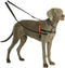 Trainingsband Company of Animals Rood